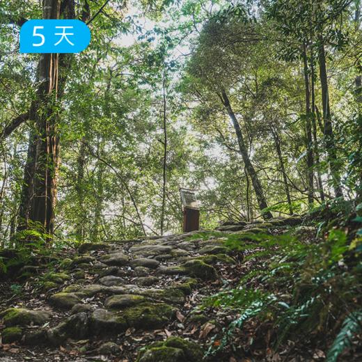 高黎贡100公里徒步 ｜穿越五大原始森林 徒步小众秘境 重走中国远征军之路 7日 商品图1