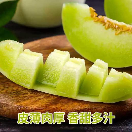 海南冰淇淋玉菇甜瓜爆甜多汁 商品图4