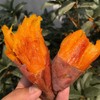 【糖心蜜薯】山东烟薯软糯香甜 商品缩略图1