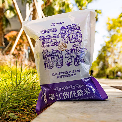 【逐南味墨江胚芽紫米】颗粒均匀 颜色紫黑 食味香甜 营养丰富 商品图2