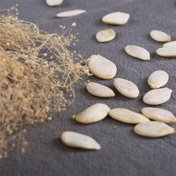 正林白瓜子300g/袋99+1南瓜子大片熟坚果炒货休闲零食 /休闲食品 /坚果炒货 /瓜子/葵花籽 商品图2