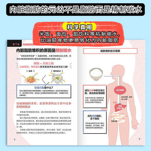 轻松减掉内脏脂肪的吃法 商品图1
