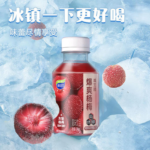 味动力益生菌杨梅汁 300mL*10瓶【LY】 商品图4