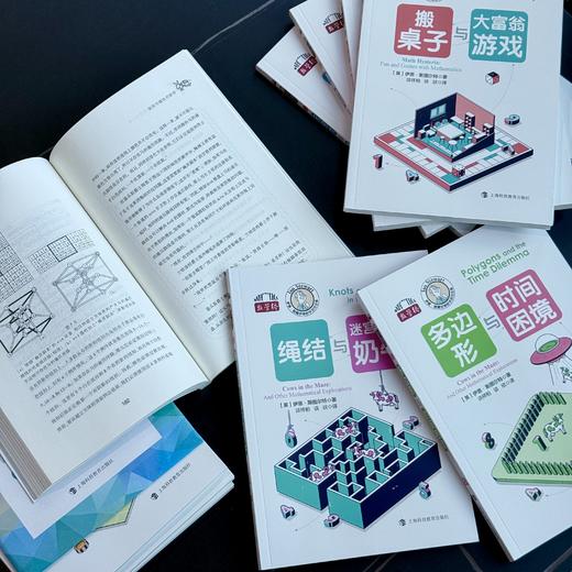 伊恩·斯图尔特数学游戏全集（数学桥第四辑）套装全10册 赠函套+数学折纸 商品图3