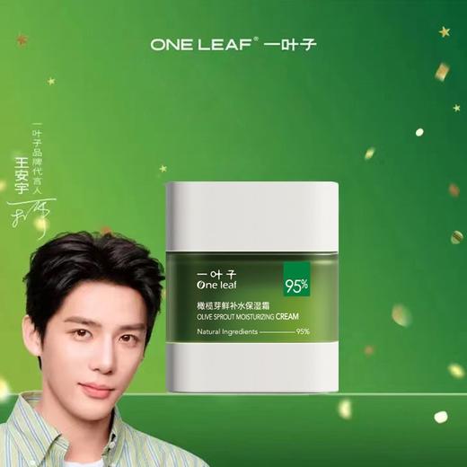 一叶子橄榄芽鲜补水保湿霜50g  54518 商品图2