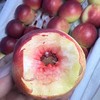 新疆珍珠枣蜜桃 油桃 商品缩略图14