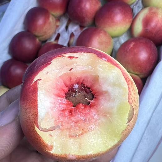 新疆珍珠枣蜜桃 油桃 商品图14