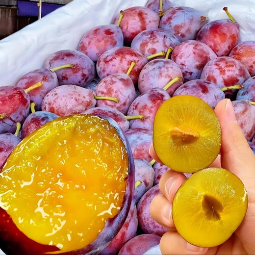 【BF】进口西梅49.8一斤 商品图1