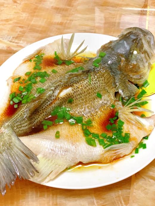 & 海钓鲈鱼 海钓货💦肉质鲜美细嫩活冻 商品图5