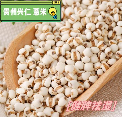 老滇凰五指毛桃薏米茯苓蒲公英赤小豆芡实三伏天养生茶健脾祛湿600g/盒（附赠2罐试喝) 商品图6