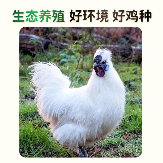 【好念头品牌】蛋黄软糯 蛋白细腻 乌鸡绿壳蛋 30枚 商品图2