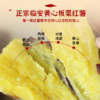 [最农公社]双12|精品红薯临安精品小香薯红薯免洗恒温糖化工厂定制清甜无丝适合水煮 商品缩略图5