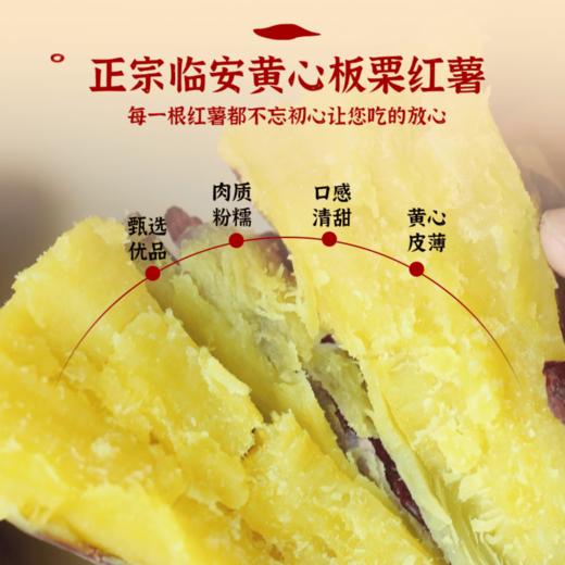 [最农公社]双12|精品红薯临安精品小香薯红薯免洗恒温糖化工厂定制清甜无丝适合水煮 商品图5