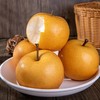 秋月梨【低至29元】丨甜蜜多汁 果肉细腻 清香回味 商品缩略图4