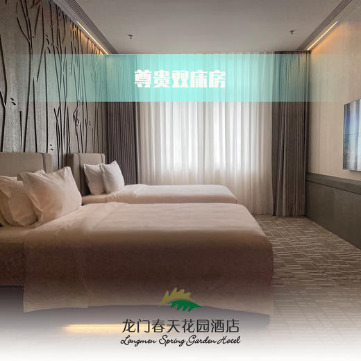 尊贵双床房 商品图1
