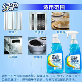 绿伞玻璃净亮水 玻璃车窗清洗剂 不留水痕去污防尘500g*2瓶 /家庭清洁/纸品 /家庭环境清洁 /玻璃清洁剂