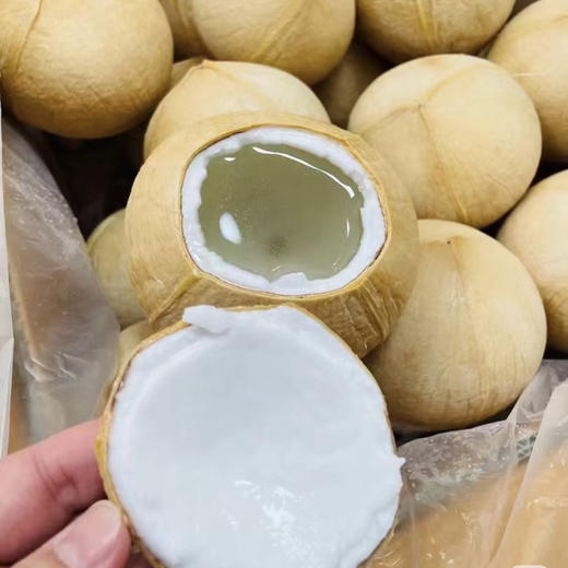 【限时活动🔥】 大果泰国奶香椰皇12个 椰香浓郁   纯天然饮料   椰子鸡必备  冰箱冷藏 商品图1