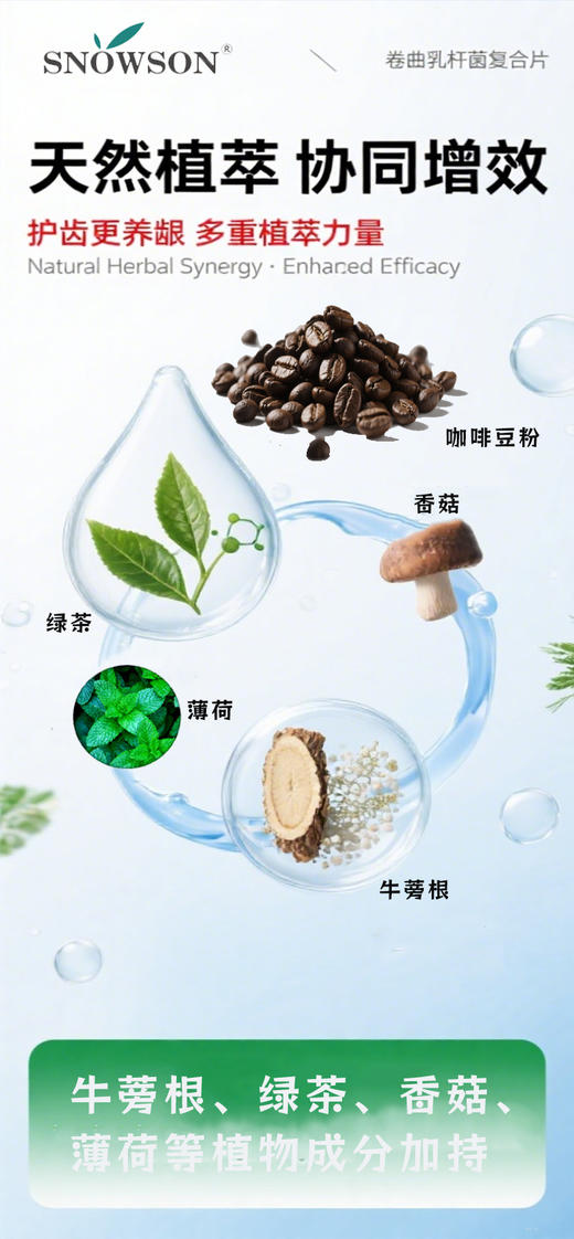 斯诺森齿助理卷曲乳杆菌复合片  牙齿营养 日本原装进品 口臭异味益生菌 商品图13