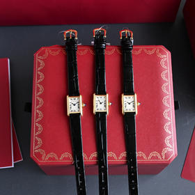 新款卡地亚坦克迷你小号24*16（ZT*SH）