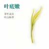 卢正浩绿茶安吉白茶特级100g2026新茶上市明前茶叶纸包高山春茶源头直发 /水饮冲调 /茗茶 /绿茶 商品缩略图1