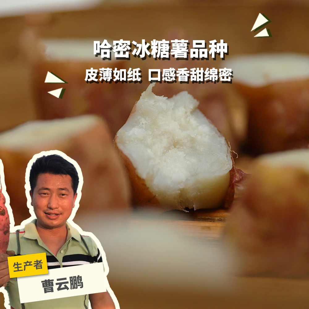 生态地瓜（白薯） | 合作生产*Ecological Sweet potato | Coprodution