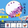 【中秋礼扇，共享月团圆~】中国风干花团扇diy材料包 儿童手工制作永生花古风扇子-QB 商品缩略图8