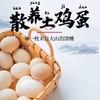 册亨县 册亨优选 土鸡蛋30枚/盒 商品缩略图0