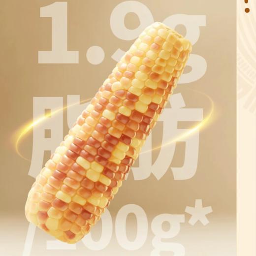 【西双版纳直采】十月稻田 云南小花糯玉米1.2kg（约6-7根）当季新玉米 商品图4