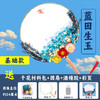 【中秋礼扇，共享月团圆~】中国风干花团扇diy材料包 儿童手工制作永生花古风扇子-QB 商品缩略图4