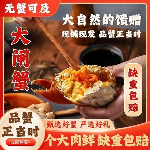 【大闸蟹卡券❗️9月下旬开湖兑换】阳澄湖大闸蟹，肉质饱满嫩滑，满载江南美食之味。口感鲜美爽滑，营养丰富滋味浓郁。售后质量全保障，中秋送礼佳品，阳澄湖基地直发，爆品爆款礼盒套装L 商品图0