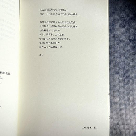 三线山水集 范雪 新世纪中国城市乡村山水诗集 商品图14
