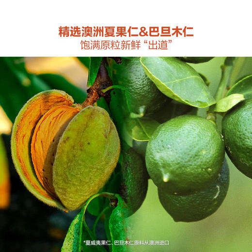 聚便利 X 山姆 NUTHING 高蛋白肉松坚果 巴旦木仁/夏威夷果仁/30g*袋 商品图3