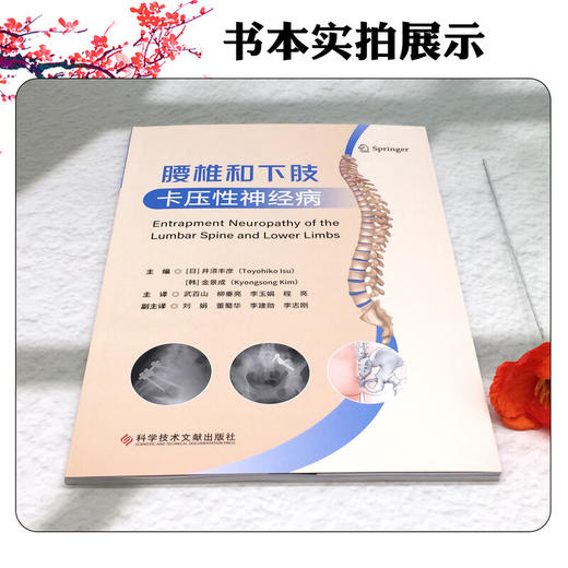 腰椎和下肢卡压性神经病 武百山 柳垂亮 李玉娟 程亮 主译 全面阐述了周围神经卡压的历史临床表现及诊治方法等科学技术文献出版社 商品图2