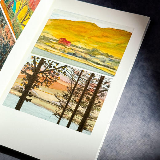 三线山水集 范雪 新世纪中国城市乡村山水诗集 商品图11