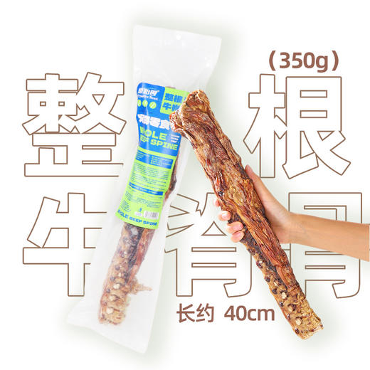 原始兽真骨系列 宠物磨牙骨头零食 多筋多肉 大骨头洁齿补钙 商品图7