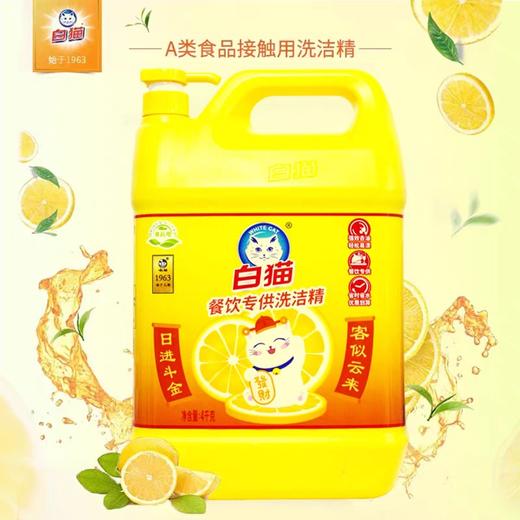 白猫餐饮专供洗洁精 4kg/瓶 商品图1