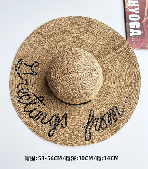 壁虎瑜伽【2508PJ398】夏季沙滩大帽檐草帽【5天发货】 商品图1