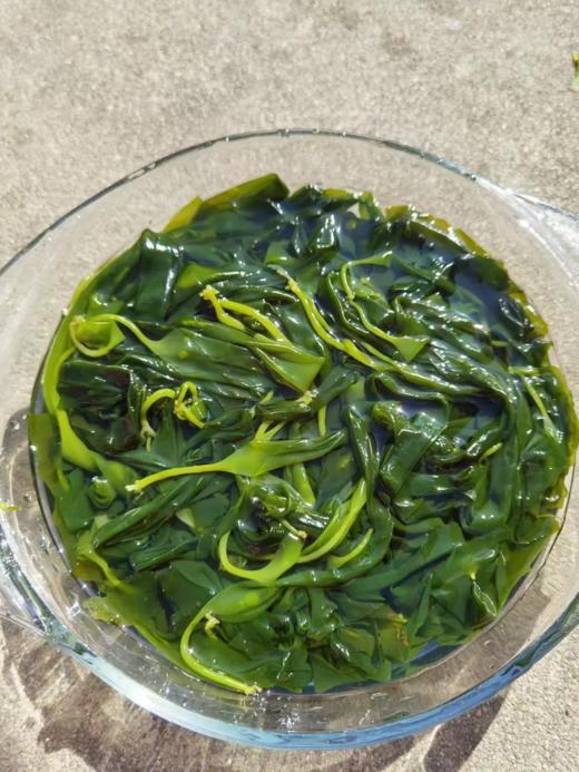 & 海洋蔬菜🔥海带苗，口感脆爽，超低热量，减脂必备~ 商品图3