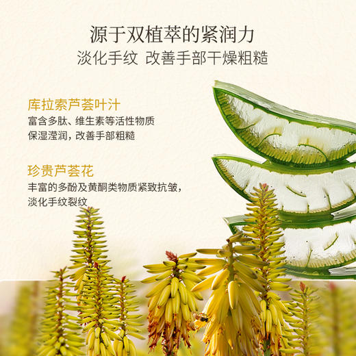 【新品上市】瑷露德玛芦荟花御养美手霜100g 抗皱淡纹紧致嫩肤补水 商品图2