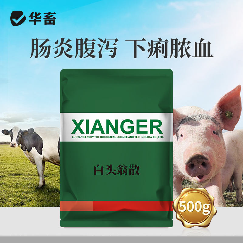 【社群专享】华畜白头翁散兽用痢菌净止痢散猪用牛羊鸡仔猪黄白痢拉稀止泻