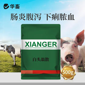 【社群专享】华畜白头翁散兽用痢菌净止痢散猪用牛羊鸡仔猪黄白痢拉稀止泻