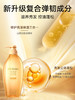 Tsubaki 丝蓓绮 沁耀臻致修护洗发露/护发素 450ml 商品缩略图3