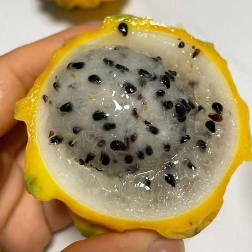 【顺丰】稀有海南燕窝果麒麟果甜如冰糖 滑如燕窝 商品图3