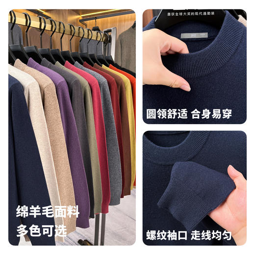 【含绵羊毛】圣得西男羊毛针织衫2025秋新款舒适商务轻奢百搭毛衣 商品图4