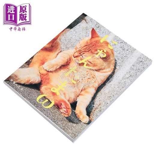 【中商原版】猫蛋蛋摄影集2 日文原版 にゃんたまw 芳澤ルミ子 商品图2