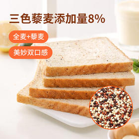 舌里藜麦全麦面包1000g低脂肪健身轻食吐司早餐休闲零食点心代餐 /休闲食品 /西式糕点 /吐司面包