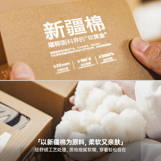 马登新疆棉黑白色基础款正肩磨毛修身长袖t恤打底衫内搭上衣女秋 商品图1