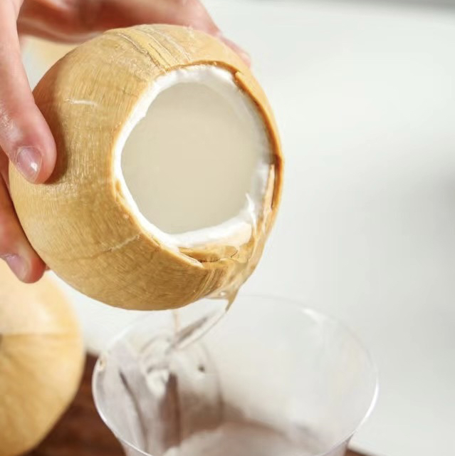 【限时活动🔥】 大果泰国奶香椰皇12个 椰香浓郁   纯天然饮料   椰子鸡必备  冰箱冷藏