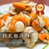 【顺丰快递】无冰衣山东栉孔鲜活扇贝肉 带黄完整贝肉 0泡药0添加 个头不缩水  肉厚肥美 - 文泰 商品缩略图0