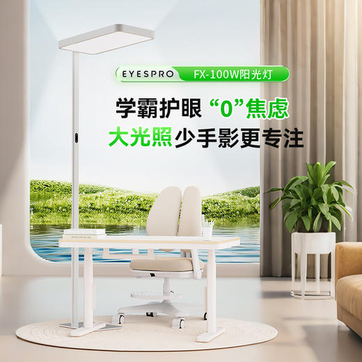 孩视宝学习护眼立体光大路灯FX-100W 商品图7